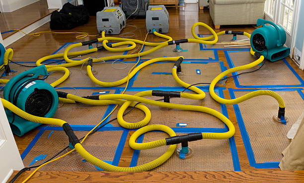 Professional Crawl Space Water Removal technician working in Briggs, TX